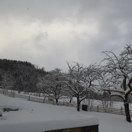 公寓 Ziegelstadel 温蒂加斯顿