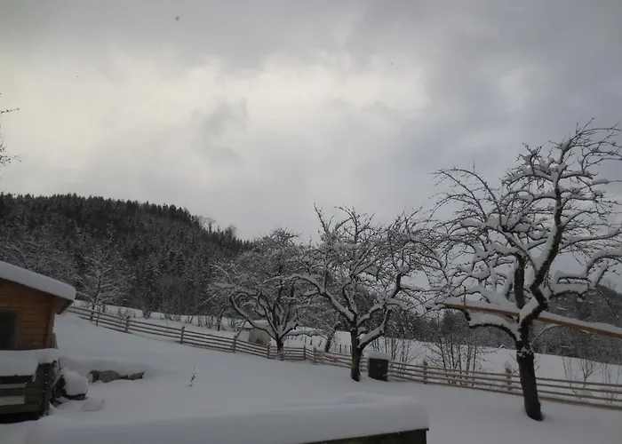 Daire Ziegelstadel Windischgarsten