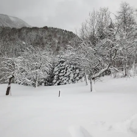 Ziegelstadel Lägenhet